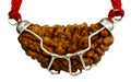 1 MUKHI RUDRAKSHA CERTIFIED