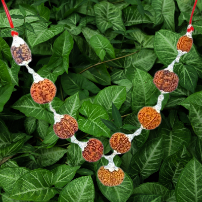 Navgrah Rudraksha Kawach