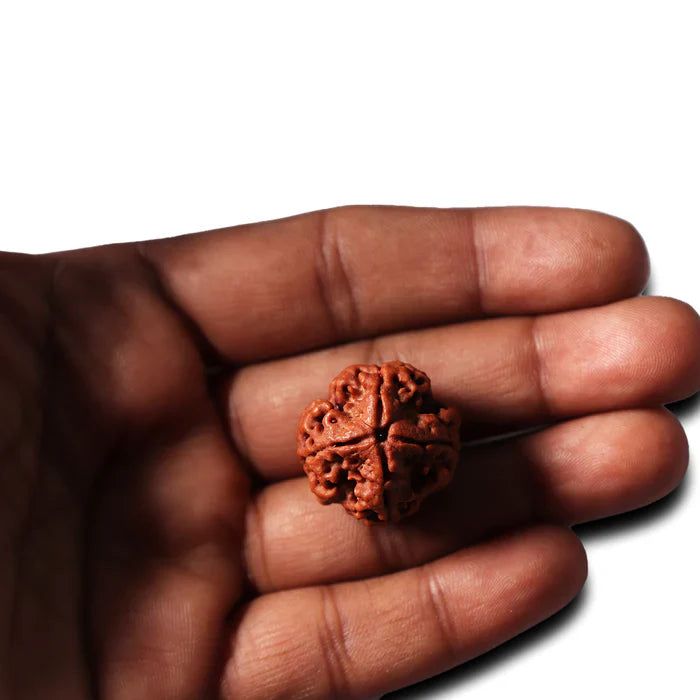 4 MUKHI CERTIFIED RUDRAKSHA NEPAL