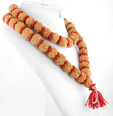 5 Mukhi Rudraksha Mala for Men/Women Wearing (15mm, Big Size Rudraksh Beads