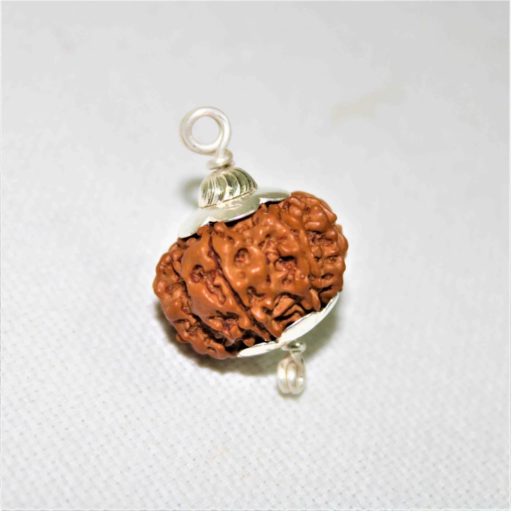 8 MUKHI CERTIFIED RUDRAKSHA (NEPALI ORIGIN)