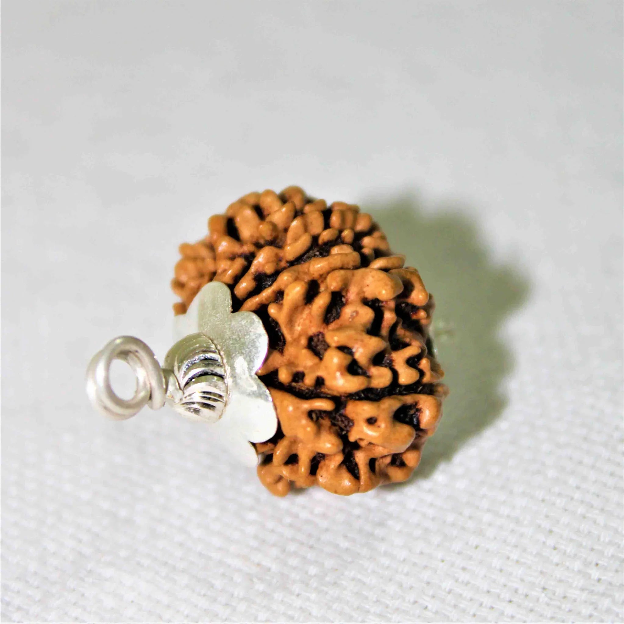 11 MUKHI CERTIFIED RUDRAKSHA (NEPALI ORIGIN)