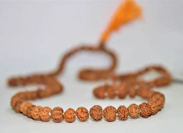 Buy Certified Original Rudraksha Mala 2 to 10 Mukhi (108+1)