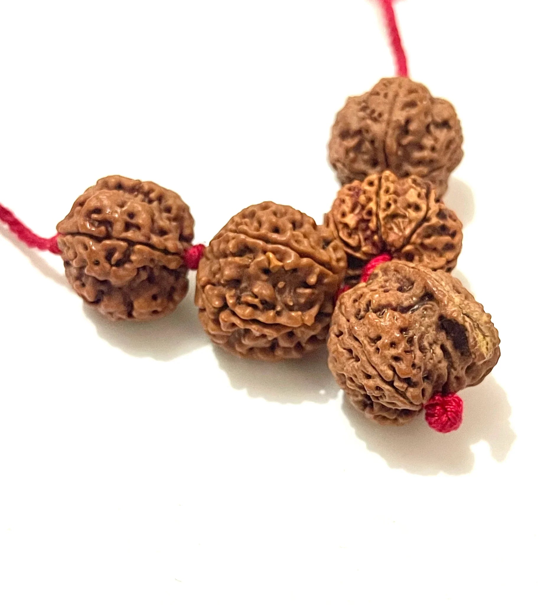 Sarv Karya Siddhi Kawach