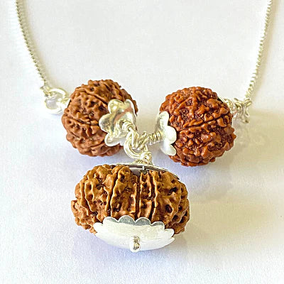 7,8 & 14 Mukhi Rudraksha Combination For (Brokers & Indsutrialists)