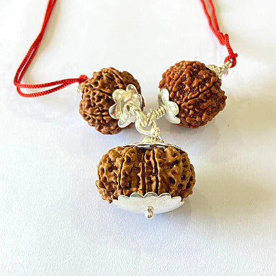 7,8 & 14 Mukhi Rudraksha Combination For (Brokers & Indsutrialists)