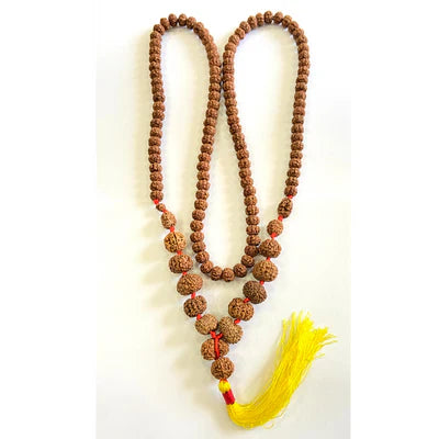 Indonesian 1 - 14 Mukhi Rudraksha Mala