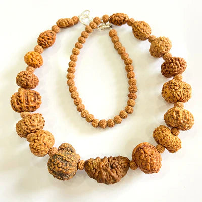 Indonesian 1 - 14 Mukhi Rudraksha Mala