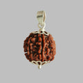 7 MUKHI CERTIFIED RUDRAKSH NEPAL